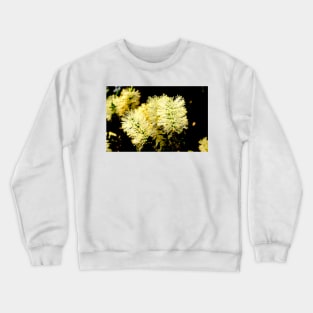 Scented Paperbark Crewneck Sweatshirt